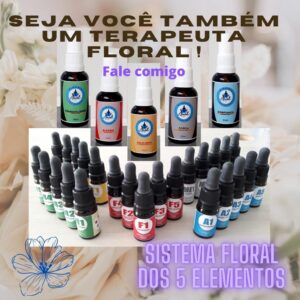 Curso de Terapia Floral e os 5 Elementos